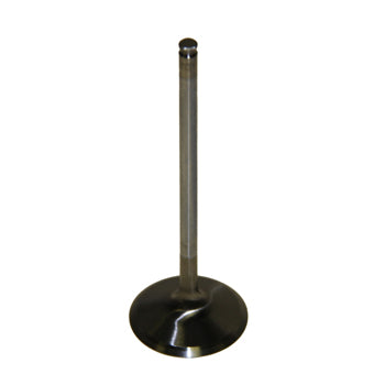 Valve, Intake