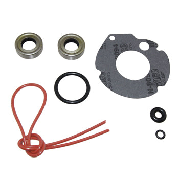 Seal Kit, Lower Gearcase