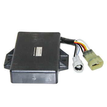 Electronic Module