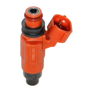 Injector, Fuel