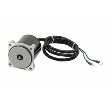Trim Motor 4 Bolt