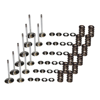 Valve Kit, Hi Performance +1mm