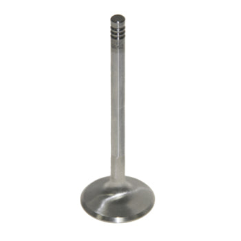 Valve, Exhaust-Standard