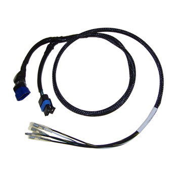 Harness, CDM Module Test