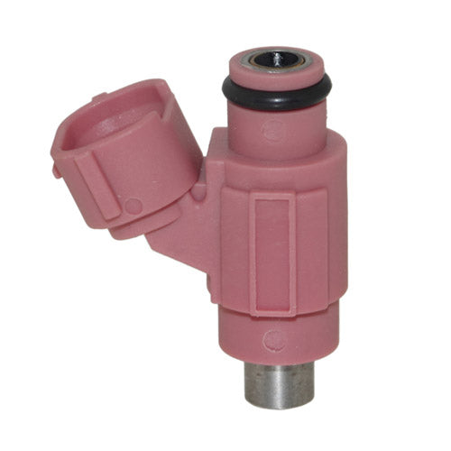 Injector, Fuel
