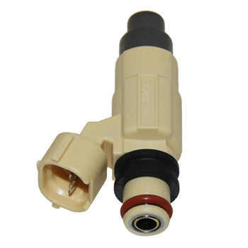 Injector, Fuel