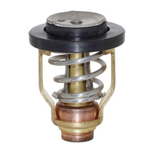 Thermostat Assy