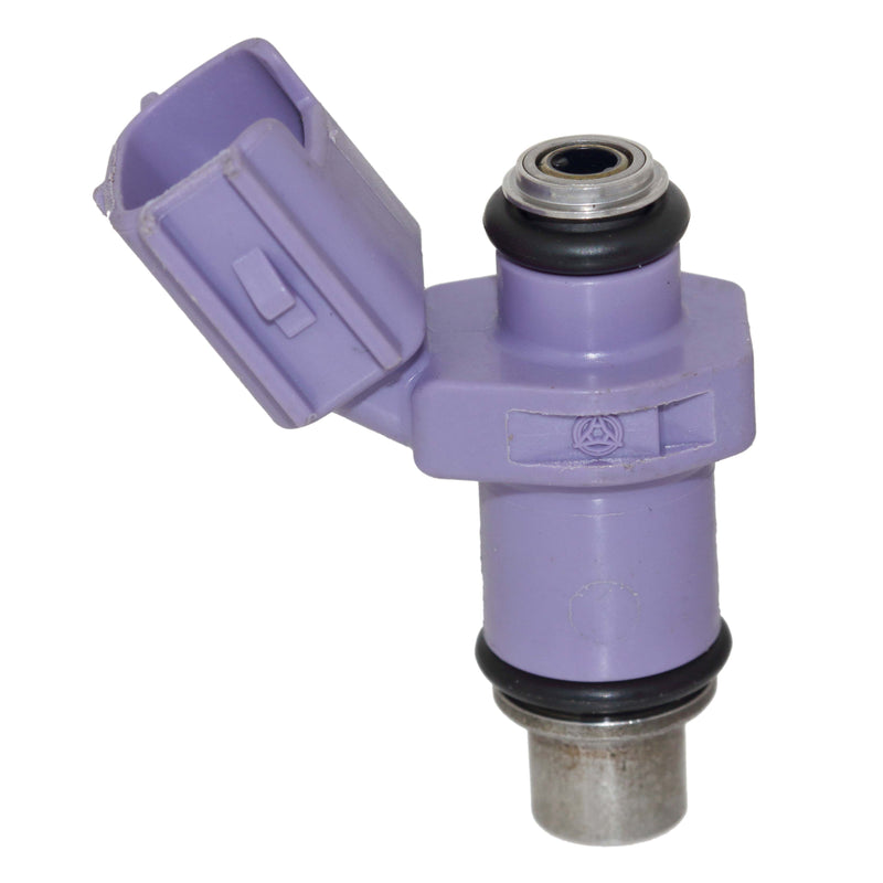 Injector, Fuel