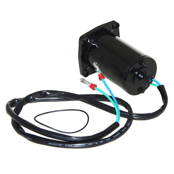Trim Motor