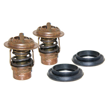 Thermostat 2pk w/Seals 143F