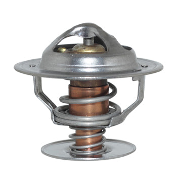 Thermostat 160 Deg