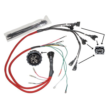 Wire Harness Assembly