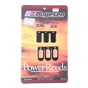 Reed Kit, Boyesen