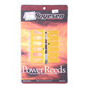 Reed Kit, Boyesen