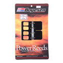 Reed Kit, Boyesen