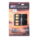 Reed Kit, Boyesen