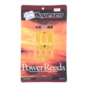 Reed Kit, Boyesen
