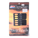 Reed Kit, Boyesen