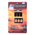 Reed Kit, Boyesen 3 Petal