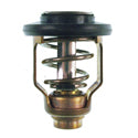 Thermostat 60°C 140°F