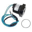 Trim Motor