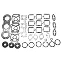 Gasket Kit w/ Seals