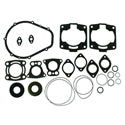Gasket Kit w/ Seals