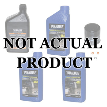 100 Hour Service KIt
